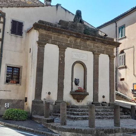 Appartement Agorà à Montecatini Val di Cecina Extérieur photo